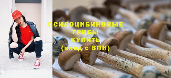 гашик Аркадак