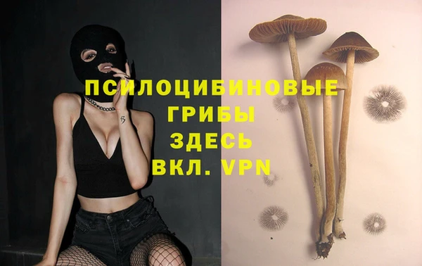 альфа пвп Армянск
